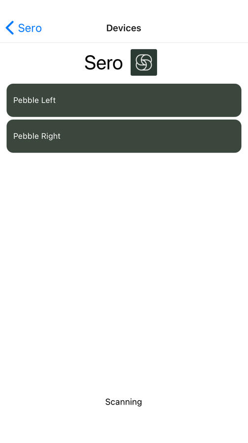 Bluetooth Connection Bluetooth Connection